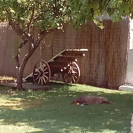 Ξενοδοχείο με διαμερίσματα Beloni And