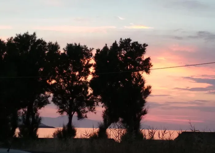 Beloni Apartments&studios 4* La Canea