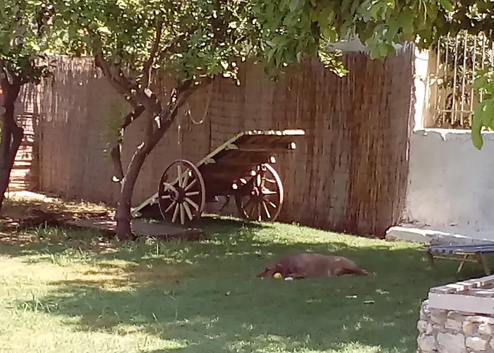 아파트호텔 Beloni And